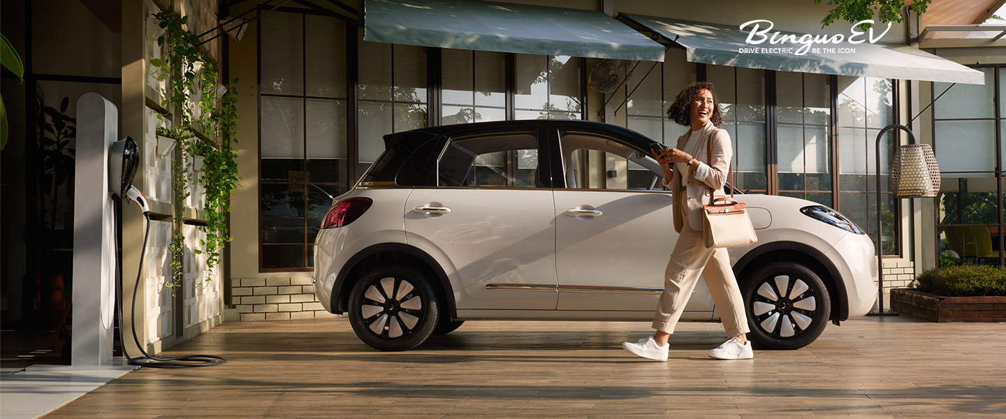 BinguoEV